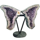 Amethyst - Butterfly Geode on Stand - Statement Specimen