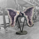 Amethyst - Butterfly Geode on Stand - Statement Specimen