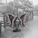 Amethyst - Butterfly Geode on Stand - Statement Specimen