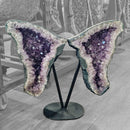 Amethyst - Butterfly Geode on Stand - Statement Specimen