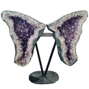 Amethyst - Butterfly Geode on Stand - Statement Specimen
