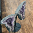 Amethyst - Butterfly Geode on Stand - Statement Specimen