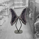 Amethyst - Butterfly Geode on Stand - Statement Specimen
