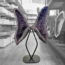 Amethyst - Butterfly Geode on Stand - Statement Specimen