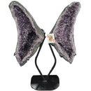 Amethyst - Butterfly Geode on Stand - Statement Specimen