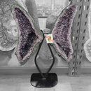Amethyst - Butterfly Geode on Stand - Statement Specimen