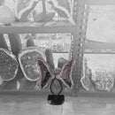 Amethyst - Butterfly Geode on Stand - Statement Specimen