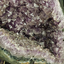 Amethyst - Butterfly Geode on Stand - Statement Specimen