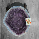 Amethyst - Polished Geode Pair - On Rolling Stands - Statement Specimen