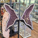 Amethyst - Butterfly Geode on Stand - Statement Specimen