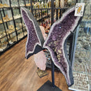 Amethyst - Butterfly Geode on Stand - Statement Specimen