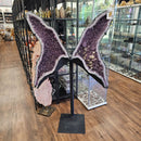 Amethyst - Butterfly Geode on Stand - Statement Specimen