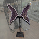 Amethyst - Butterfly Geode on Stand - Statement Specimen