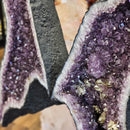 Amethyst - Butterfly Geode on Stand - Statement Specimen