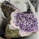 Amethyst - Half-Moon Geode - Statement Specimen