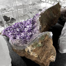 Amethyst - Half-Moon Geode - Statement Specimen
