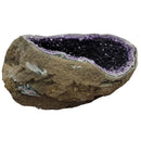Amethyst - Large Rounded Geode - Statement Specimen - Brazil