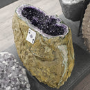 Amethyst - Large Rounded Geode - Statement Specimen - Brazil