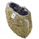 Amethyst - Large Rounded Geode - Statement Specimen - Brazil