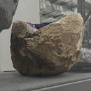 Amethyst - Large Rounded Geode - Statement Specimen - Brazil