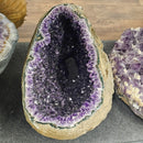 Amethyst - Large Rounded Geode - Statement Specimen - Brazil