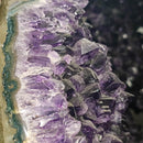 Amethyst - Large Rounded Geode - Statement Specimen - Brazil