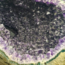 Amethyst - Large Rounded Geode - Statement Specimen - Brazil