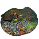 Ammolite - Fossil Specimen