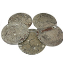 Ammonite & Orthoceras - Round Dish - Fossil