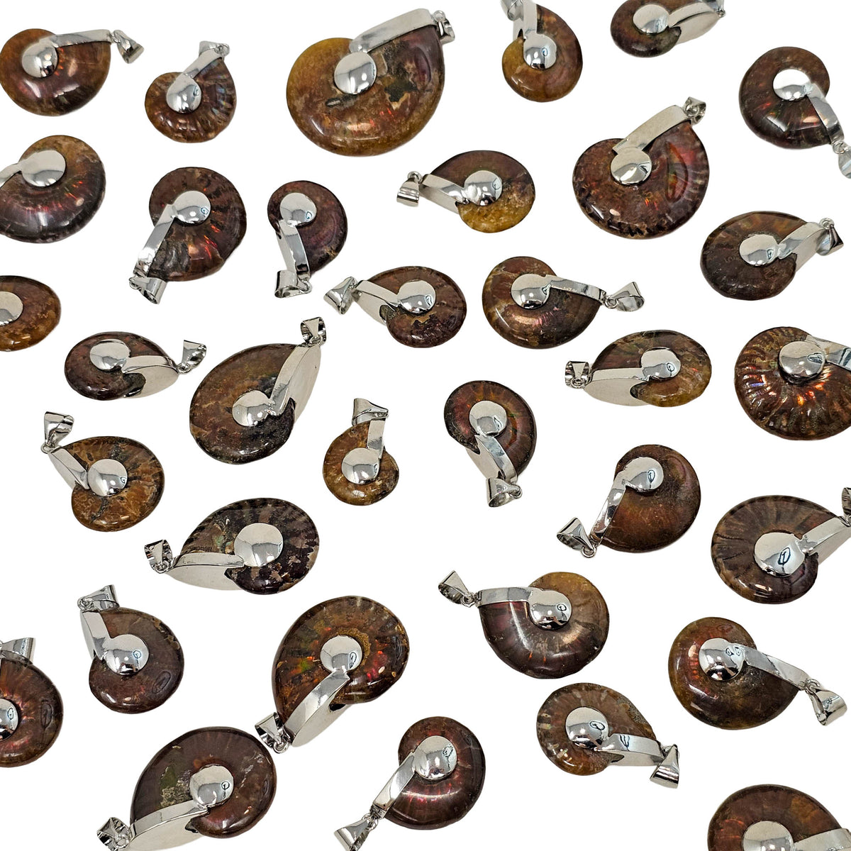 Ammonite - Polished Cap - Pendant - Madagascar