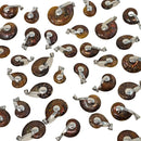 Ammonite - Polished Cap - Pendant - Madagascar