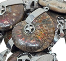 Ammonite - Star Cap - Pendant - Madagascar