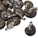 Ammonite - Star Cap - Pendant - Madagascar