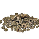 Ammonite Douvilleiceras - Fossil Specimen - Madagascar - Cretaceous Period