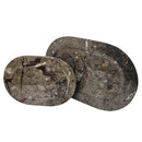 Ammonite & Orthoceras - Oval Dish - Fossil - Paleozoic and Mesozoic - Morocco