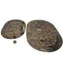 Ammonite & Orthoceras - Oval Dish - Fossil - Paleozoic and Mesozoic - Morocco