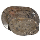 Ammonite & Orthoceras - Oval Dish - Fossil - Paleozoic and Mesozoic - Morocco