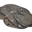 Ammonite & Orthoceras - Oval Dish - Fossil - Paleozoic and Mesozoic - Morocco
