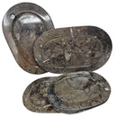Ammonite & Orthoceras - Oval Dish - Fossil - Paleozoic and Mesozoic - Morocco