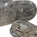 Ammonite & Orthoceras - Oval Dish - Fossil - Paleozoic and Mesozoic - Morocco