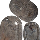 Ammonite & Orthoceras - Oval Dish - Fossil - Paleozoic and Mesozoic - Morocco