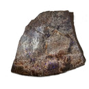 Ammolite - Fossil Specimen