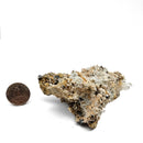 Anatase with Quartz - Specimen