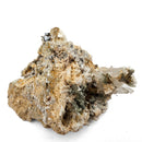 Anatase with Quartz - Specimen