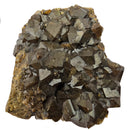Andradite Garnet - Specimen