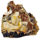 Angel Wing Agate - Rough Rock - Oregon, USA - Translucent/Opaque - Lapidary Grade
