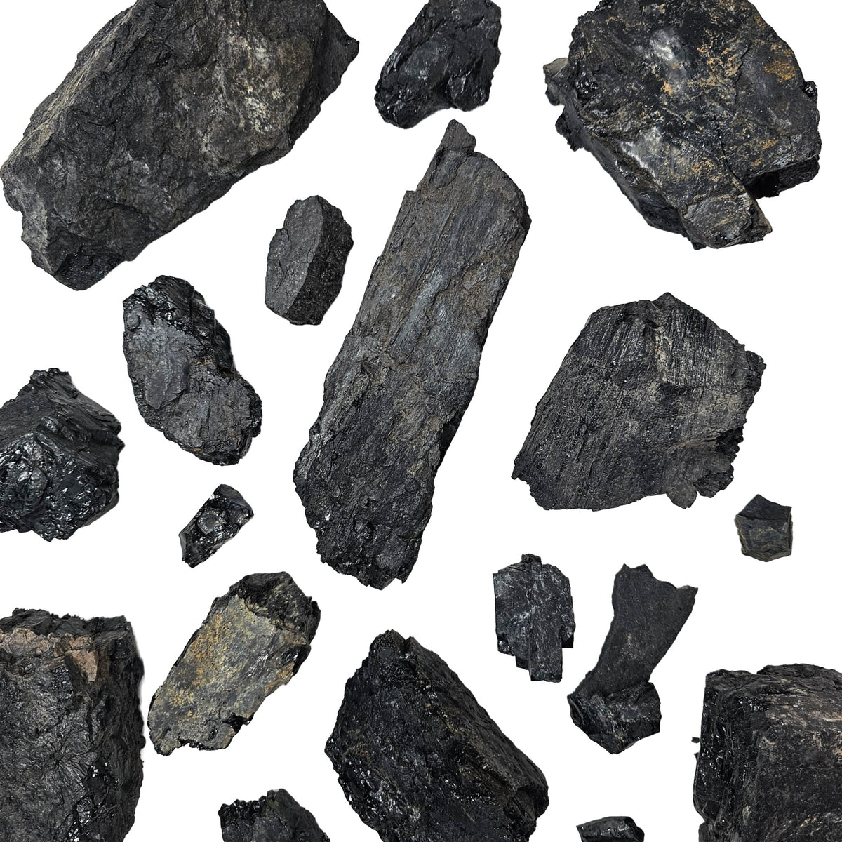 Anthracite coal from Coalmont, BC, Canada – many pieces spread out