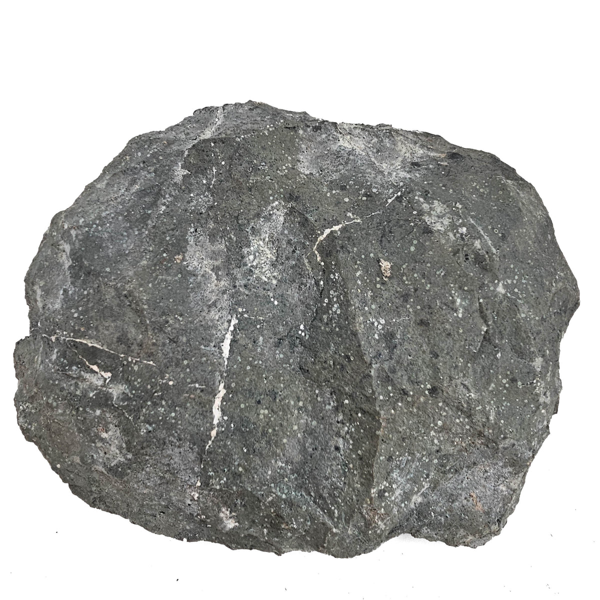 Apophyllite and Stilbite geode specimen from Deccan Traps, Maharashtra, India.