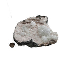 Zeolite (Apophyllite & Stilbite) - Geode - Specimen