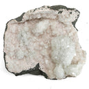 Zeolite (Apophyllite & Stilbite) - Geode - Specimen